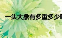 一头大象有多重多少吨（一头大象有多重）