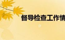 督导检查工作情况报告（督导）