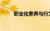 职业化素养与行为（职业化素养）