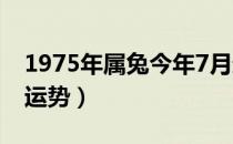 1975年属兔今年7月运程（1975年属兔今年运势）