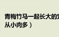 青梅竹马一起长大的宠文有肉（青梅竹马宠文从小肉多）