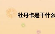牡丹卡是干什么用的（牡丹卡）