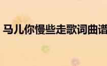 马儿你慢些走歌词曲谱（马儿你慢些走歌词）