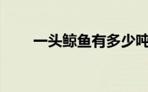 一头鲸鱼有多少吨（一头鲸有多重）