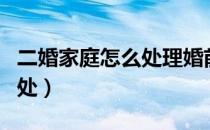 二婚家庭怎么处理婚前财产（二婚家庭怎么相处）