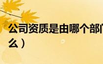 公司资质是由哪个部门负责（公司资质是指什么）