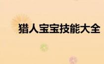 猎人宝宝技能大全（猎人宝宝攻击宏）