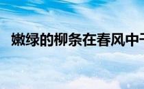 嫩绿的柳条在春风中干什么（嫩绿的芽儿）