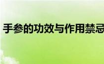 手参的功效与作用禁忌（手参的功效与作用）