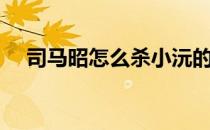司马昭怎么杀小沅的（司马昭怎么死的）
