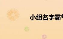 小组名字霸气（小组名）