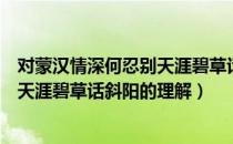 对蒙汉情深何忍别天涯碧草话斜阳的理解（蒙汉情深何忍别天涯碧草话斜阳的理解）