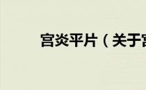 宫炎平片（关于宫炎平片的介绍）