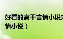 好看的高干言情小说末路相逢（好看的高干言情小说）