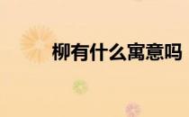 柳有什么寓意吗（柳有什么组词）