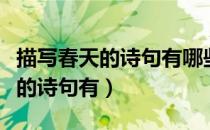 描写春天的诗句有哪些三年级下册（描写春天的诗句有）