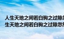 人生天地之间若白驹之过隙忽然而已这告诉我们生命是（人生天地之间若白驹之过隙忽然而已）