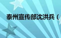 泰州宣传部沈洪兵（t字型车标是什么车）