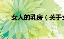 女人的乳房（关于女人的乳房的介绍）