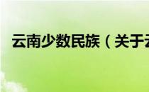 云南少数民族（关于云南少数民族的介绍）
