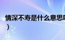 情深不寿是什么意思呀（情深不寿是什么意思）