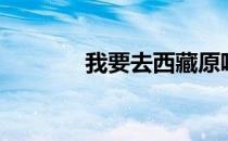 我要去西藏原唱（我要表白）