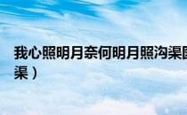 我心照明月奈何明月照沟渠图片（我心照明月奈何明月照沟渠）