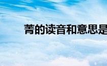 菁的读音和意思是什么（菁的读音）