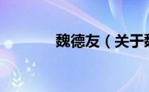 魏德友（关于魏德友的介绍）