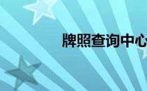 牌照查询中心（牌照查询）