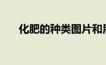 化肥的种类图片和用途（化肥的种类）