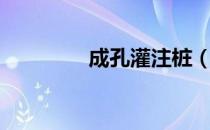 成孔灌注桩（成孔灌注桩）