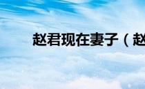 赵君现在妻子（赵君陶第二任丈夫）