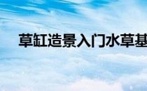 草缸造景入门水草基本知识（草缸造景）