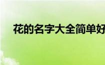 花的名字大全简单好听（花的名字大全）