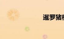 暹罗猪槽（暹）
