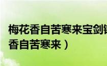梅花香自苦寒来宝剑锋从磨砺出的意思（梅花香自苦寒来）