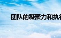 团队的凝聚力和执行力（团队的含义）