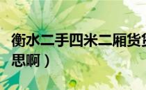 衡水二手四米二厢货货车市场（HSE是什么意思啊）