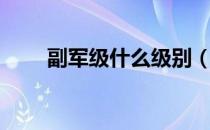 副军级什么级别（副军级什么待遇）