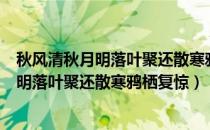 秋风清秋月明落叶聚还散寒鸦栖复惊什么意思（秋风清秋月明落叶聚还散寒鸦栖复惊）