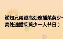遥知兄弟登高处遍插茱萸少一人的节日是什么（遥知兄弟登高处遍插茱萸少一人节日）