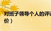对班子领导个人的评语（对班子领导个人的评价）