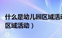 什么是幼儿园区域活动简答题（什么是幼儿园区域活动）