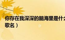 你存在我深深的脑海里是什么歌词（你存在我深深的脑海里歌名）