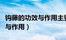 钩藤的功效与作用主要治什么病（钩藤的功效与作用）