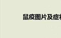 鼠疫图片及症状（鼠疫图片）