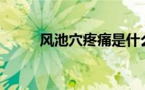 风池穴疼痛是什么原因（风池穴）