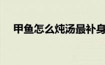 甲鱼怎么炖汤最补身体（甲鱼怎么炖汤）
