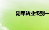 副军转业级别一览表（副军级）